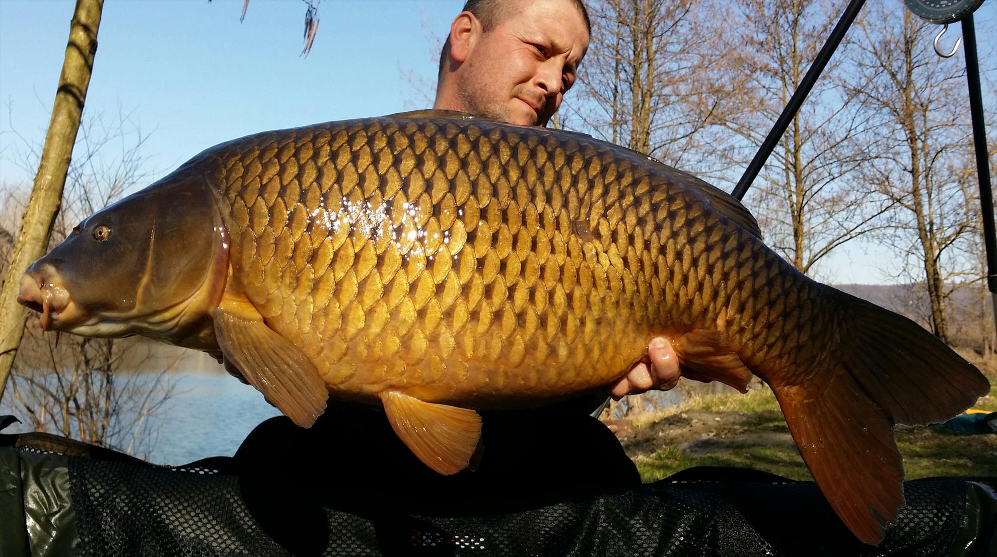 Lago Boschetto 7 - 10 martie 2016 - 20160310142623-1.jpg